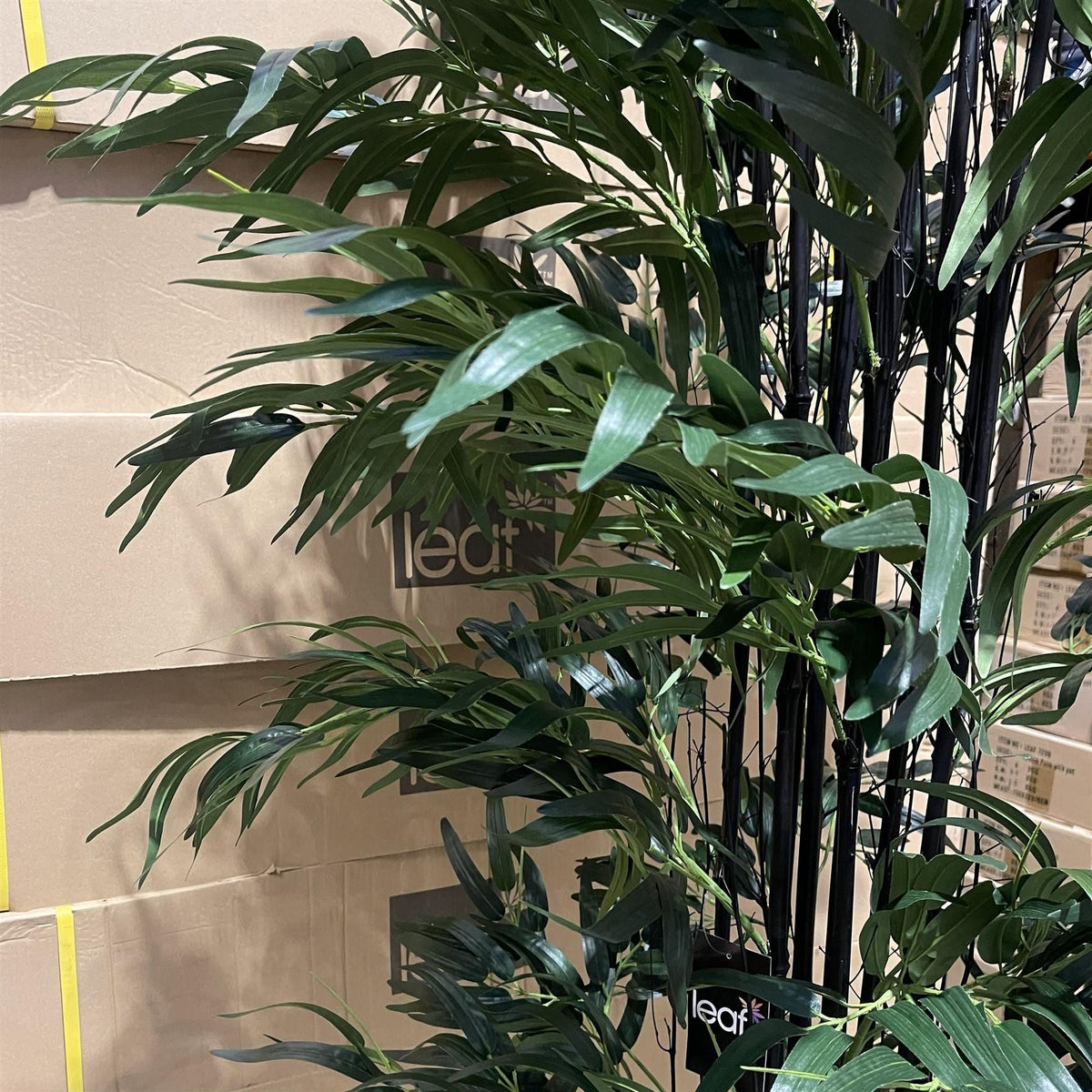 200cm Fire Retardant Natural Bamboo Tree - Premium Quality-1