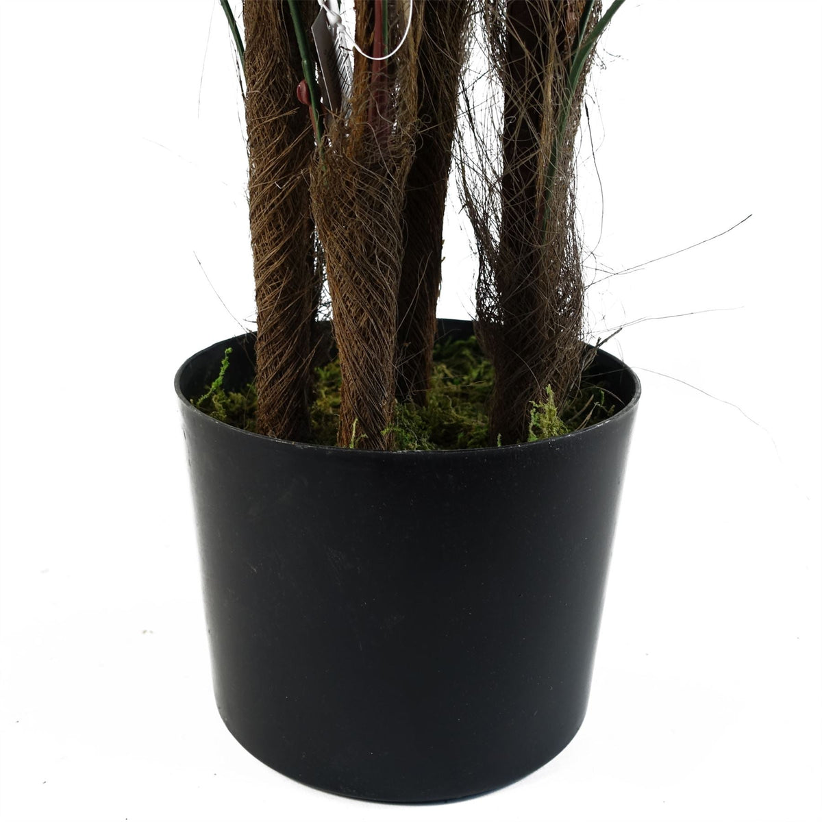 Fan Palm Artificial Tree  120cm Botanik-3