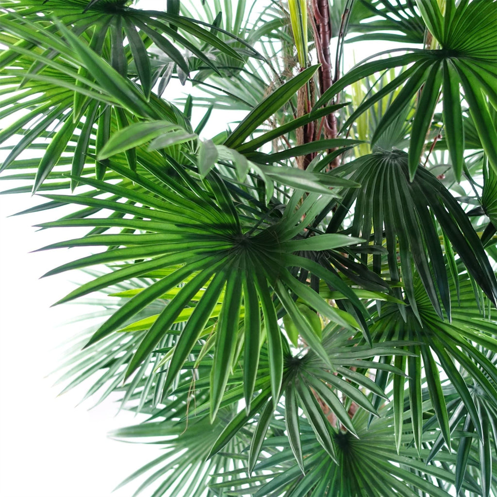 Fan Palm Artificial Tree  120cm Botanik-1