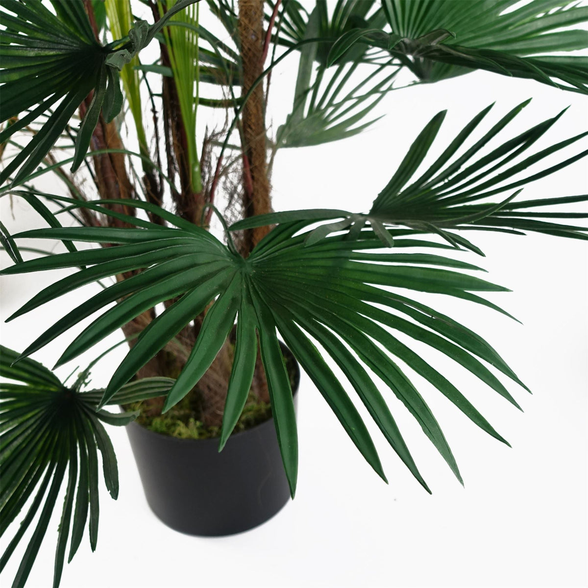 Fan Palm Artificial Tree  120cm Botanik-2