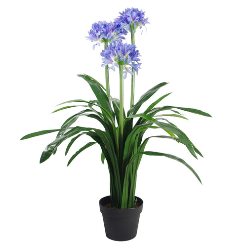 Agapanthus Blue Flower Plant Realistic Faux House Plants 90cm Botanik-0