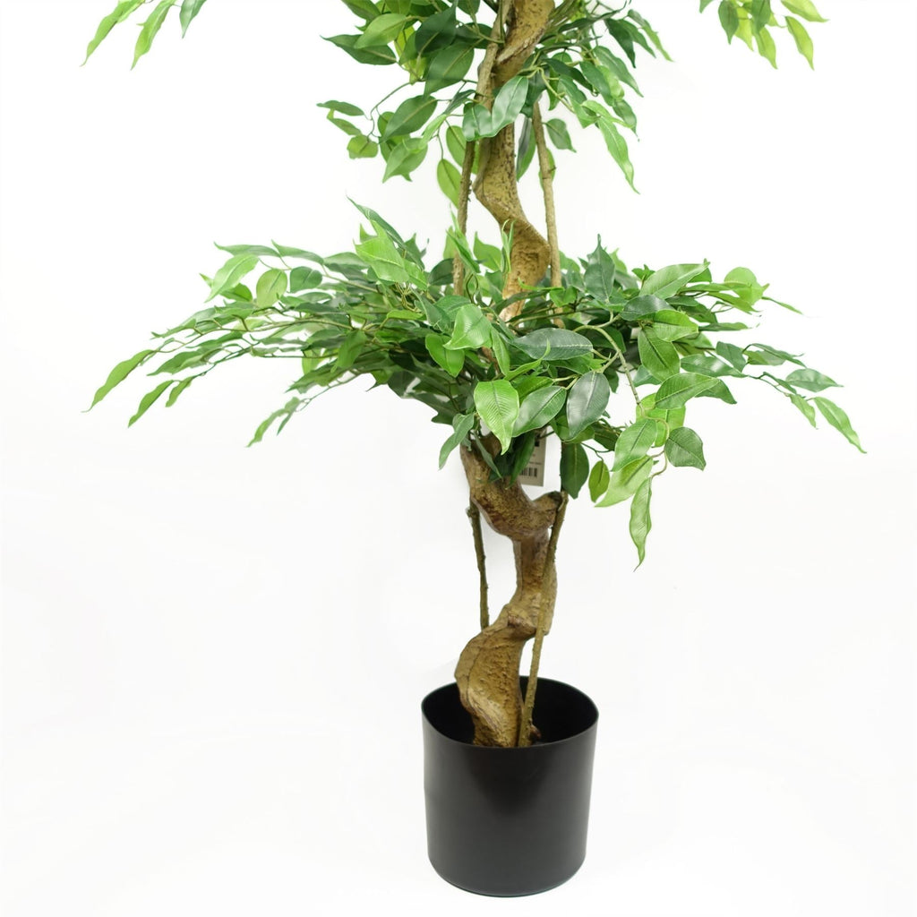 Artificial Ficus Extra Large Triple Ball Tree 6ft Botanik-2