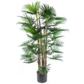 Fan Palm Artificial Tree  120cm Botanik-0