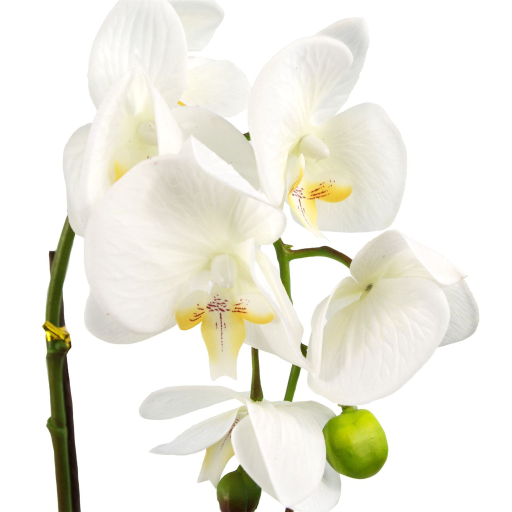 Artificial Orchid White Silver Pot 46cm-1