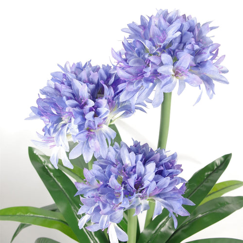 Agapanthus Blue Flower Plant Realistic Faux House Plants 90cm Botanik-1