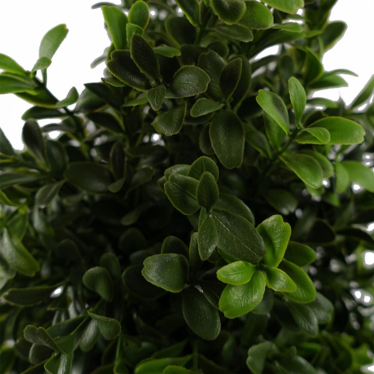 120cm Pair of Spiral Boxwood Artificial Tree UV Resistant Outdoor - Premium Quality-2