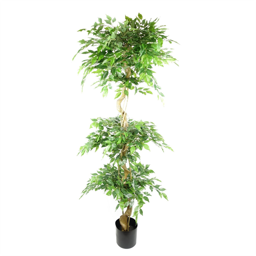 Artificial Ficus Extra Large Triple Ball Tree 6ft Botanik-0