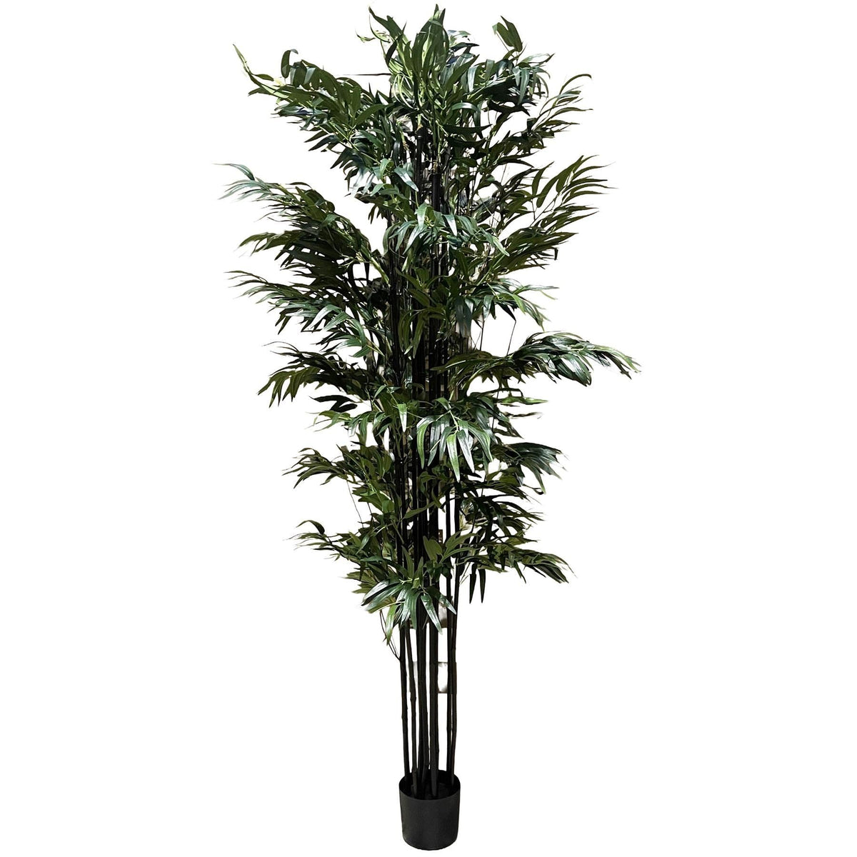 200cm Fire Retardant Natural Bamboo Tree - Premium Quality-2