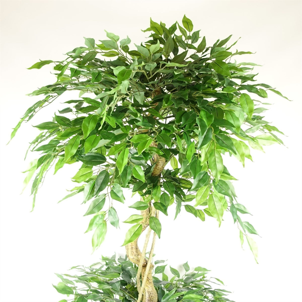 Artificial Ficus Extra Large Triple Ball Tree 6ft Botanik-1
